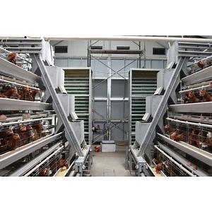 Automatic Egg Production Poultry Farm Equipment Battery Chicken Cages