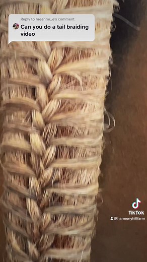 Tail braiding in 60 seconds or less ⏳#equestrian #hunterjumper #horsesoftiktok #braiding #pony