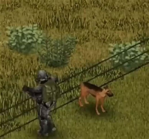 Project Zomboid Dog Meme Compilation