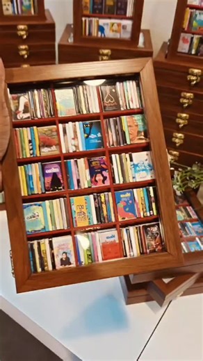 My Little Library on Instagram: "Link in bio Don't report ❌ #littlelibrary #bookshelf #booklover #miniturebookshelf #bookaddict"