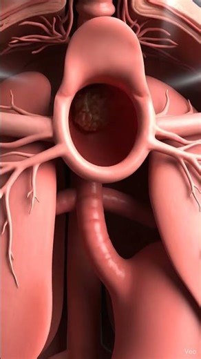 "How Your Body Digests Food – Amazing 3D Animation!"#3Danimation#humanbody #digestivehealth #facts