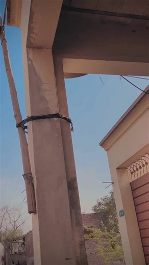 Exploring Akmal Musakhail's Last Video Highlights
