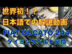 How do you replace the timing belt on the Fiat Ducato?