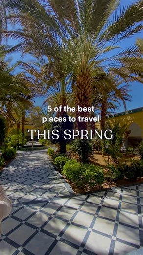 6.7K views · 38 reactions | 5 of the best places to travel this spring From fragrant cherry blossoms in Japan to lively festivals in Italy, celebrations and natural beauty jolt forth in springtime—reawakening our wanderlust as well. Freshly bloomed flowers, perfect sightseeing weather, and seasonal celebrations await in these top five countries to visit this spring. Shop spring trips: https://goaheadtours.me/40s3gtS | EF Go Ahead Tours | Facebook