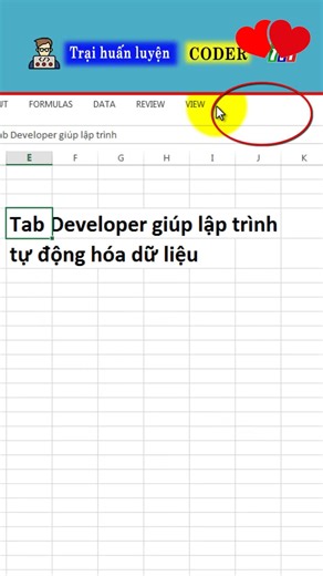 Excel does not yet have a Developer tab.