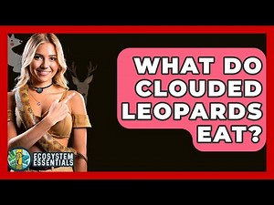 What Do Clouded Leopards Eat? - Ecosystem Essentials