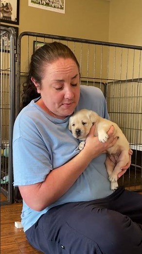 What is PUPPY SWIMMER SYNDROME and HOW TO FIX IT?