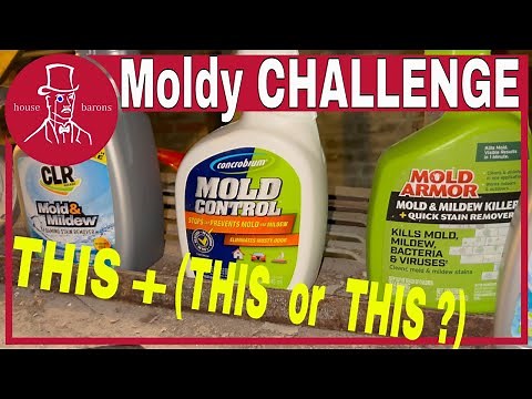 How to Remove Mold | Review Mold Armor, Mold Control and CLR to Get Rid of Mold