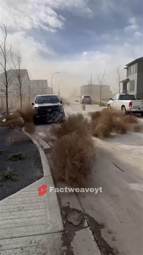 Tumbleweed!