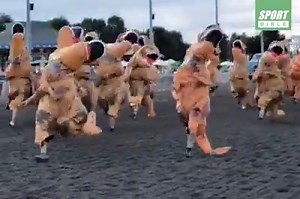 T-Rex Racing is our new favourite sport... 🦖😂 Emerald Downs | SPORTbible