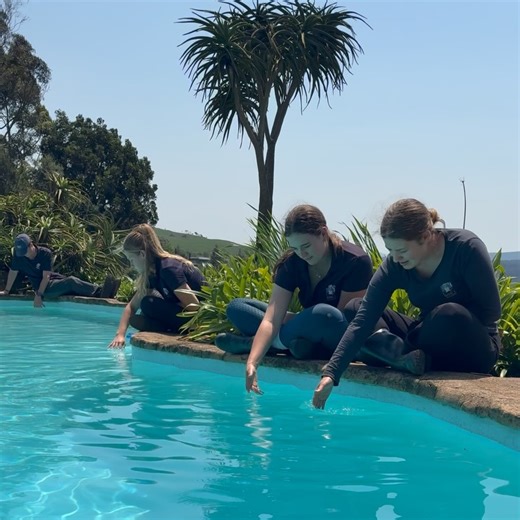 BSET Equine Academy on Reels