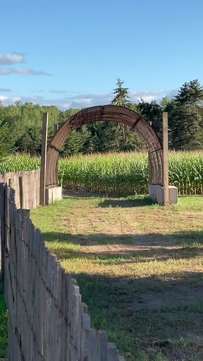 Visit Pine Haven Farm's Pumpkin Patch This Fall
