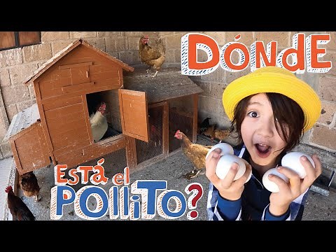 Donde está el POLLITO? Dia 2 en la GRANJA