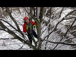 New Apprentice: The First Climb... with Kendal