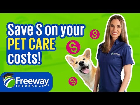 The Truth About Pet Insurance Coverage | Secret Pet Care Benefits