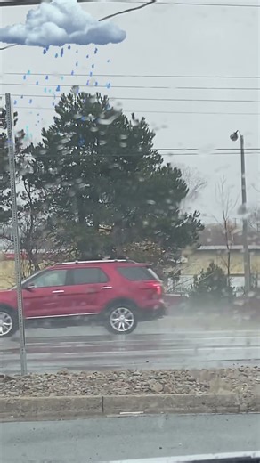 Nova Scotia weather | Rainy day #weather #rain #novascotia #halifax #snow #nature #naturevideo #902