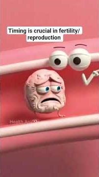 It takes 12 to 24 hours for fertilization to take place, timing is very crucial #fertilityjourney