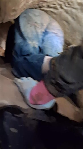 173 reactions · 5 comments | We all have to jam through this little squeeze #wild #cave #adventure #tour #reels | Wes Sims | Facebook