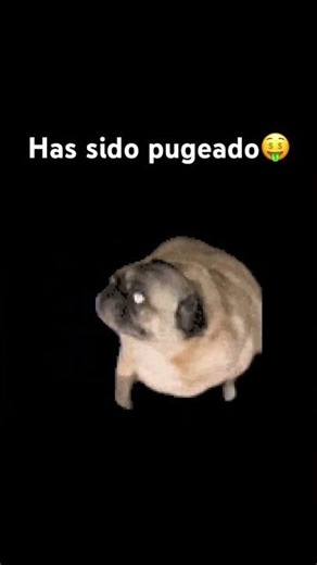 Si le quieres librar de él suscríbete