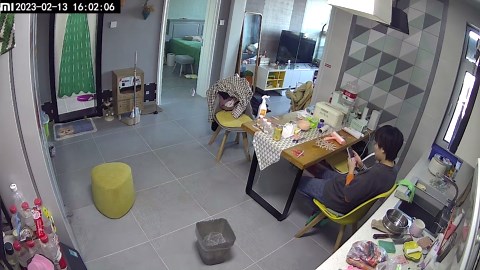 China: Cat accidentally locked inside freezer caught on camera