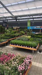 1.1K views · 55 reactions | Arboretum Kilquade is now open! Pop in and view our state-of-the-art garden and lifestyle store | Arboretum Home & Garden Heaven | Facebook