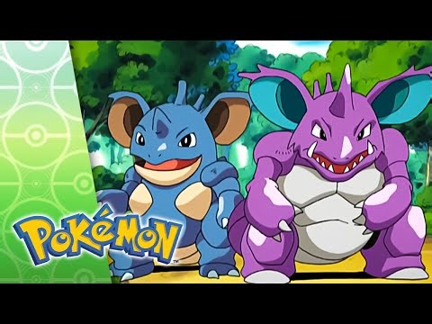 The Bicker the Better | POKÉMON FULL EPISODE 32 | Season 7
