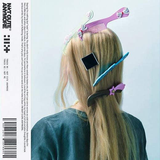 NOT CUTE ANYMORE (Meme ver.)