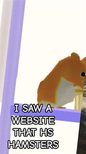 website's name hammy home.com