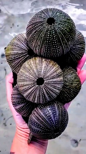 20K views · 86 reactions | Take me back to the day when... . I found...