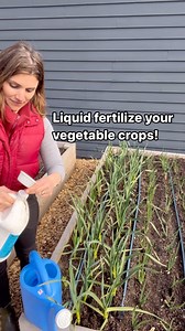28K views · 112 reactions | Organic liquid fertilizer is a great tool that can help with overall plant health and productivity. Most are made from fish and/or kelp and provide a lot of micronutrients that keep your plants powered up. We apply liquid fertilizer every 2 weeks, especially while crops are still young and really need the regular boosts to reach maturity. ♥️ . . . #gardensoil #gardeninspiration #growfood #organicfertilizer | Seattle Urban Farm Company | Facebook