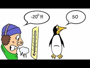 Watch how to sign 'who cares' in American Sign Language.