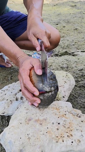 34K views · 143 reactions | Block San dollar  #fblifestyletyle #highlightsシ゚ #nonfollowersviewers #viralvideoシ | Bevelyn Sumalinog Quinal | Facebook