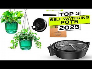 Top 3 BEST Self Watering Pots