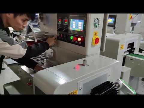 ZS ZB350S Horizontal flow wrapper install video