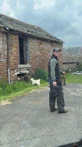 Sorry Dan 😬😂🙈 #escapeartists #goats #farmlife | Red Shepherdess
