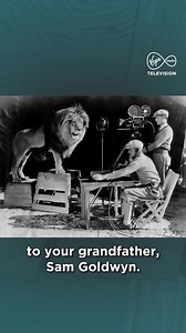 "There's always an Irish connection somewhere!" 🦁 Tony Goldwyn finds out that the lion featured in the original MGM mascot 'Leo the Lion' was actually Irish-born lion Slats, born in Dublin Zoo 🇮🇪 #SixVMTV #hollywood #MGM | The Six O'Clock Show