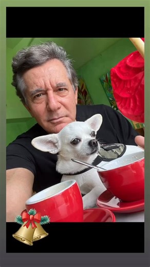 Gilad Janklowicz on Instagram: "May you all have a blessed Christmas!"