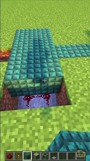 Minecraft Secret Door 😱 #shorts