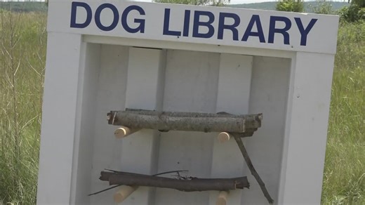 'Dog Library' brings joy to furry beachgoers in Stockton Springs