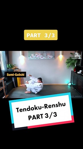 20 moves Judo - Tendoku-Renshu Judo PART 3/3 #judo #judoka #judopower #judopower🥋 #training #trainingday #ippon #jeremymargalle #dojosystem #technik #technique #techniques #tendokurenshu #seul #individuel #entrainement #projection #chute #maison #sode #sodetsurikomigoshi #uchimata #kenken #ashiguruma #oguruma #sumigaeshi #planchettejaponaise #planchette #uranage #uranagejudo #taniotoshi