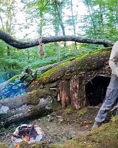 45K views · 455 reactions | Encountered in a tempest, Thunder Building Camping in the wilderness and crafting a shelter during a heavy downpour | Accessories Store | Facebook