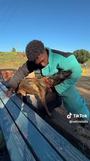 Bite Work Training Basics for Doberman Dogs