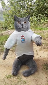 🐸✌️😲Don't Throw Away The Bugs, They're Tasty Treats For Frogs! #catvideos #catmemes #trendingvideo #catsoffacebook #trendingnow #food | Oscar's funny world cat