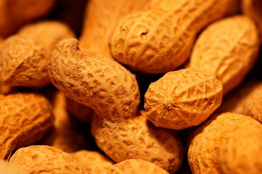 El cultivo de cacahuate en México: historia, regiones y tradición - México Desconocido