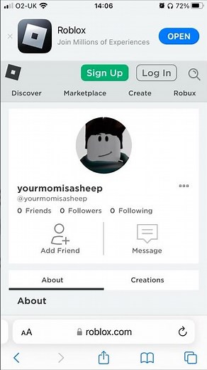 Funny and inappropriate roblox usernames