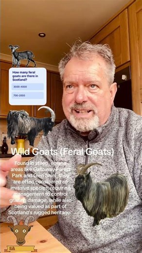 A Goatie Story