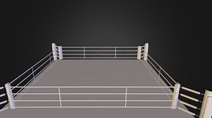 Ring Kick Boxing - 3D model by Damocles7777