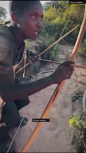 Male Lion Power: Incredible Warthog Takedown Meets Ancient Arco e Flecha 🏹🦁🐗