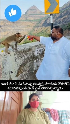 Look at this kind-hearted person giving a drink to these voiceless creatures #telugufacts