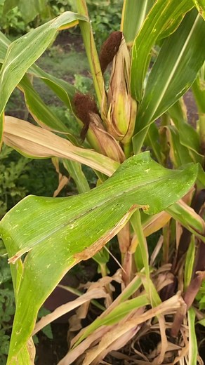 5.5K views · 374 reactions | I can't contain my excitement about the...